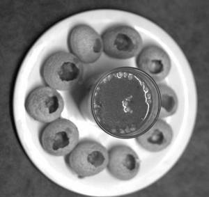 Pani Poori (10 Pc)