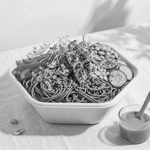 Chicken | Tokyo Soba Salad (High-Protein)