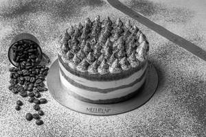 Tiramisu Cake (500 Gms)