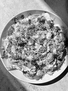 Papri Chat