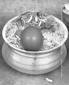 Egg Kushka
