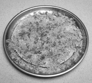 Masala Papad