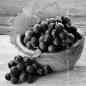Grapes Lime