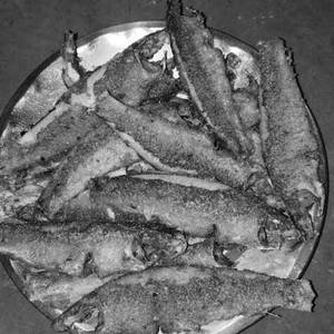 Rewa Fried
