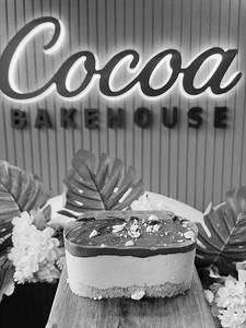 Nuttela Cheesecake Slice