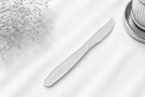 Cake Knife