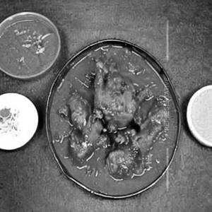 Dehati Chicken