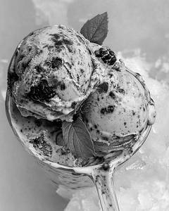 Blackcurrent Ice Cream