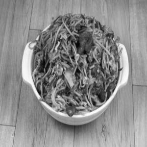 Chicken Noodles