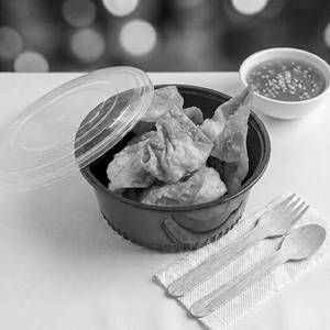 Wonton Chicken Fried