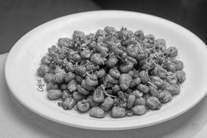 Crispy Corn