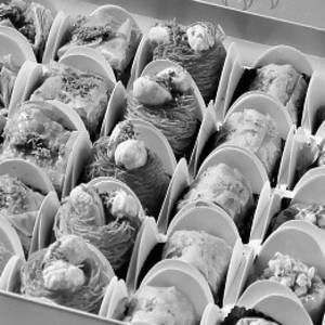 Baklava 16 Pc