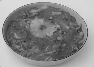 Veg American Chopsuey