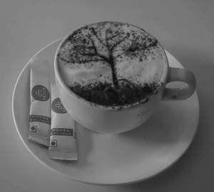 Turkish Cappuccino [240 Ml]