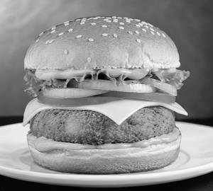 Cheese Burger