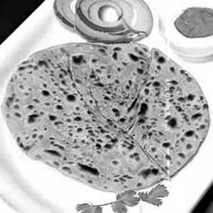 Shev Paratha