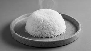 Plain Rice