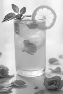 Rose Mocktails