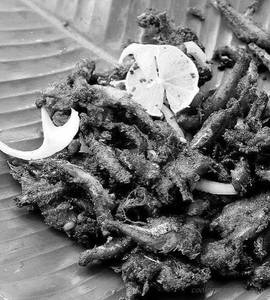Nethily Fry