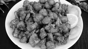 Gobi 65