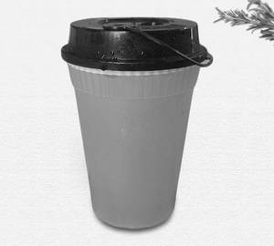 Sugarcane Juice (300 ML)