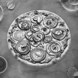Onion pizza