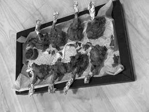 Chicken Lollipop (No Colour )