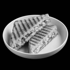 Vegetable and Cheese Sandwich Grilled