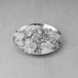 Sev Puri