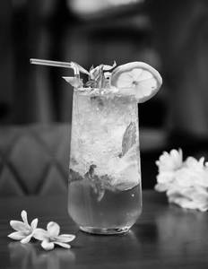 Virgin Mint Mojito (350 Ml)
