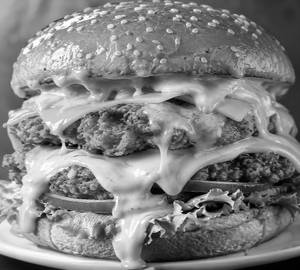 Special Fillet Burger
