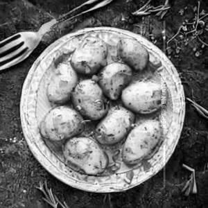 Shanghai Potatoes