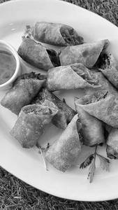 Veg Spring Roll