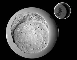 Kal Dosa