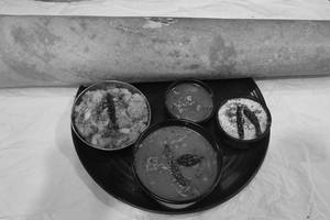 Paneer Paper Dosa
