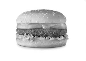 Chicken Patty Burger