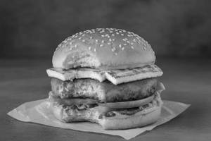 Royal paneer burger
