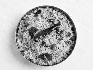 Rice Of The Day