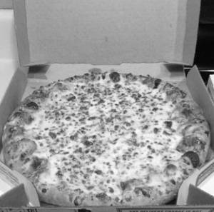 Cheese Margherita Pizza