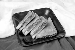 Masala Sandwich