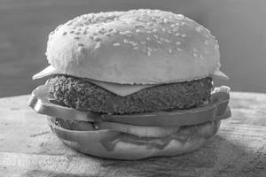 Spicy Cheese Burger