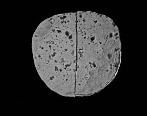Plain Roti