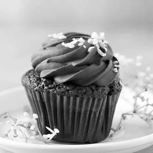 Chocolate Cupcake [1 Piece]