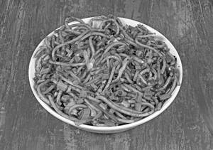 Veg Hakka Noodles