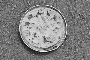 Jowar Roti