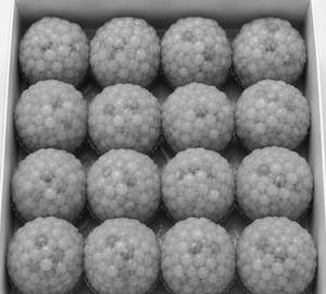 BIG Boondi Ladoo