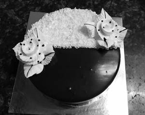 Chocolate Vanilla Cake