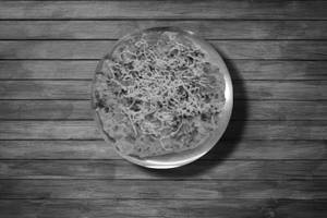 Cheese Masala Uttapam