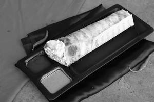 Malai Chaap Roll