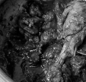 Chicken Kali Mirchi